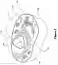 Fig. 02 - Kinase-directed, activity-based probes