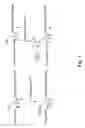 Fig. 02 - Enzyme sensors including environmentally sensitive or fluorescent labels and uses thereof