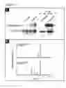 Fig. 02 - Systemic markers for asthma and analogous diseases
