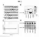 Fig. 02 - Compositions and methods for producing recombinant proteins
