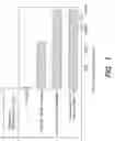 Fig. 02 - MAGE-A3 peptides presented by HLA class II molecules
