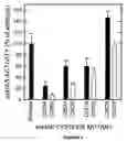 Fig. 05 - Hyaluronan synthases and methods of making and using same