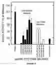 Fig. 06 - Hyaluronan synthases and methods of making and using same