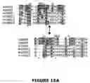 Fig. 20 - Hyaluronan synthases and methods of making and using same