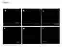 Fig. 08 - Human trophoblast stem cells and use thereof