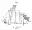 Fig. 03 - Methods of generating chimeric adenoviruses and uses for such chimeric adenoviruses