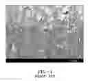 Fig. 02 - Method for using texturing surfaces of optical fiber sensors for blood glucose monitoring