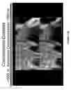 Fig. 14 - Ultra-low volume fraction collection and analysis