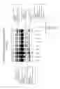 Fig. 02 - Protein biopolymer markers indicative of age matched control