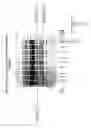 Fig. 04 - Protein biopolymer markers indicative of age matched control
