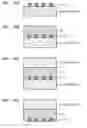 Fig. 13 - Method of manufacturing patterned ferroelectric media