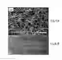 Fig. 47 - Large-area nanoenabled macroelectronic substrates and uses therefor