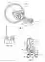 Fig. 02 - Toy vehicle with big wheel