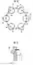 Fig. 11 - Method and device for polishing endless belt metal rings for continuously variable transmission