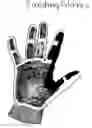 Fig. 01 - Sanding gloves