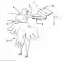 Fig. 01 - Rehanging of slaughtered animals