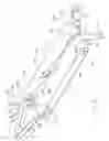 Fig. 22 - Rehanging of slaughtered animals