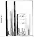 Fig. 19 - System and method for purchasing broadcasting time