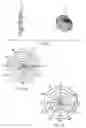 Fig. 11 - Adaptive receive and omnidirectional transmit antenna array
