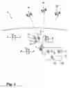 Fig. 02 - METHOD FOR ESTABLISHIING A SYNCHRONIZATION OR FOR ESTABLISHING A CONNECTION BETWEEN A MOBILE TERMINAL AND AN ACCESS POINT