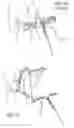 Fig. 06 - Universal handlebar for exercise equipment