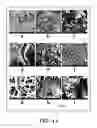 Fig. 10 - High temperature COcapture using engineered eggshells: a route to carbon management