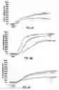 Fig. 09 - Nitrosated and nitrosylated heme proteins