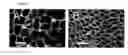 Fig. 03 - Methods for treating inflammatory disorders using regulators of microvessel dilations