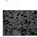 Fig. 14 - Methods for treating inflammatory disorders using regulators of microvessel dilations