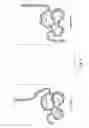 Fig. 02 - Mucosal repair by TFF dimer peptides