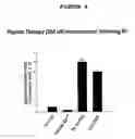 Fig. 06 - Peptides