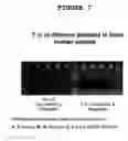 Fig. 09 - Peptides