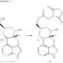 Fig. 119 - Somatostatin-dopamine chimeric analogs
