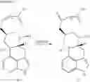 Fig. 121 - Somatostatin-dopamine chimeric analogs