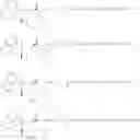 Fig. 80 - Somatostatin-dopamine chimeric analogs