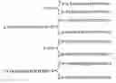 Fig. 01 - Modulation of immunostimulatory properties of oligonucleotide-based compounds by utilizing modified immunostimulatory dinucleotides
