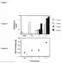 Fig. 09 - Modulation of immunostimulatory properties of oligonucleotide-based compounds by utilizing modified immunostimulatory dinucleotides