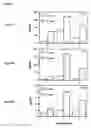 Fig. 10 - Modulation of immunostimulatory properties of oligonucleotide-based compounds by utilizing modified immunostimulatory dinucleotides