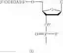 Fig. 108 - Modulation of immunostimulatory properties of oligonucleotide-based compounds by utilizing modified immunostimulatory dinucleotides