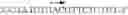 Fig. 111 - Modulation of immunostimulatory properties of oligonucleotide-based compounds by utilizing modified immunostimulatory dinucleotides