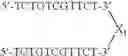 Fig. 118 - Modulation of immunostimulatory properties of oligonucleotide-based compounds by utilizing modified immunostimulatory dinucleotides