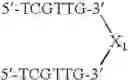 Fig. 119 - Modulation of immunostimulatory properties of oligonucleotide-based compounds by utilizing modified immunostimulatory dinucleotides