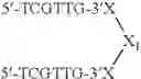 Fig. 121 - Modulation of immunostimulatory properties of oligonucleotide-based compounds by utilizing modified immunostimulatory dinucleotides