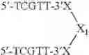Fig. 122 - Modulation of immunostimulatory properties of oligonucleotide-based compounds by utilizing modified immunostimulatory dinucleotides
