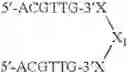 Fig. 123 - Modulation of immunostimulatory properties of oligonucleotide-based compounds by utilizing modified immunostimulatory dinucleotides