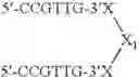 Fig. 125 - Modulation of immunostimulatory properties of oligonucleotide-based compounds by utilizing modified immunostimulatory dinucleotides