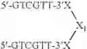 Fig. 126 - Modulation of immunostimulatory properties of oligonucleotide-based compounds by utilizing modified immunostimulatory dinucleotides