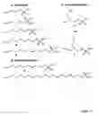 Fig. 15 - Modulation of immunostimulatory properties of oligonucleotide-based compounds by utilizing modified immunostimulatory dinucleotides