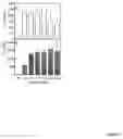 Fig. 16 - Modulation of immunostimulatory properties of oligonucleotide-based compounds by utilizing modified immunostimulatory dinucleotides