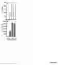 Fig. 17 - Modulation of immunostimulatory properties of oligonucleotide-based compounds by utilizing modified immunostimulatory dinucleotides
